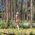 Wald ohne Schatten ...
