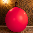 Eingehüllt in Stille