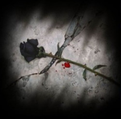 Member Image