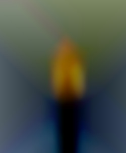 Member Image
