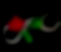 Member Image