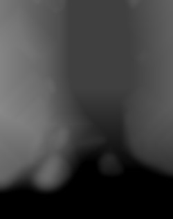 Member Image