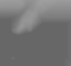 Member Image