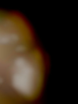 Member Image
