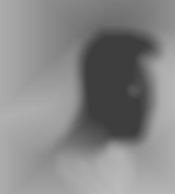 Member Image