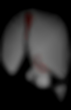 Member Image