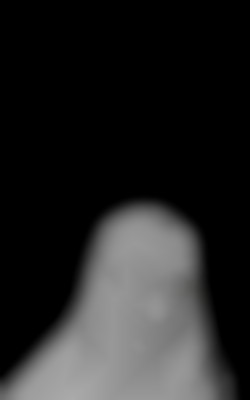 Member Image