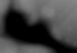 Member Image