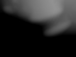 Member Image