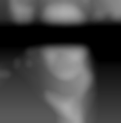 Member Image