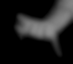 Member Image