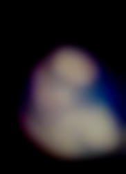 Member Image