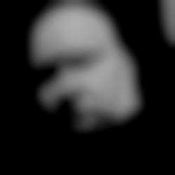 Member Image