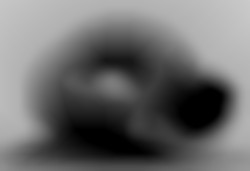 Member Image