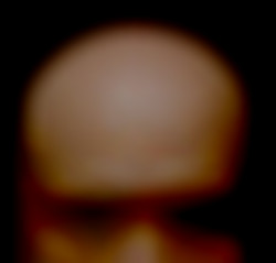 Member Image