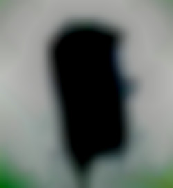 Member Image