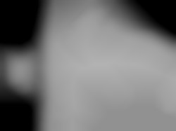 Member Image