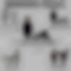 Member Image