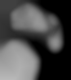 Member Image