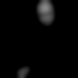 Member Image