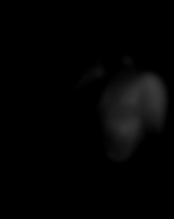 Member Image