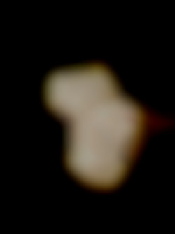 Member Image