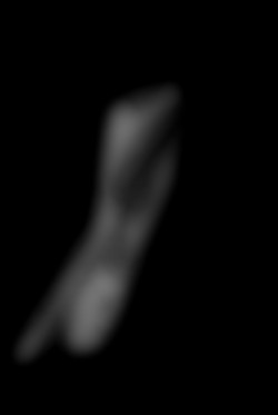 Member Image