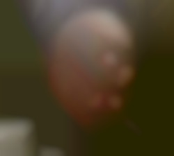 Member Image