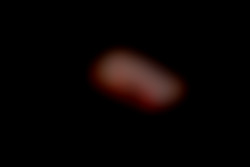 Member Image