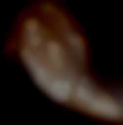 Member Image