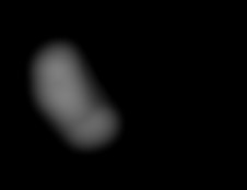 Member Image