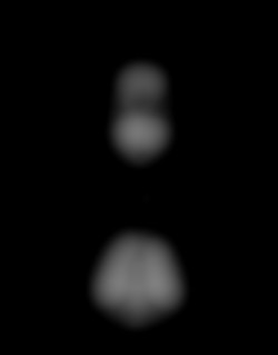 Member Image