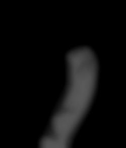 Member Image