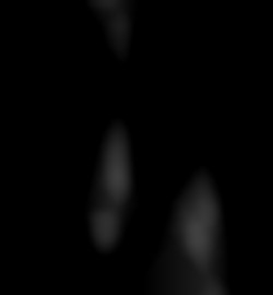 Member Image