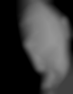 Member Image