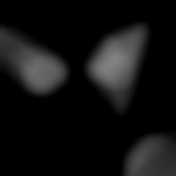 Member Image