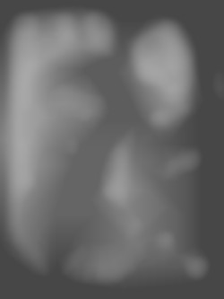 Member Image