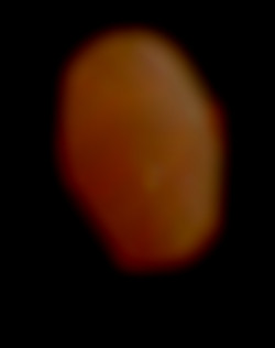 Member Image
