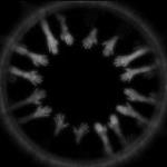 Member Image