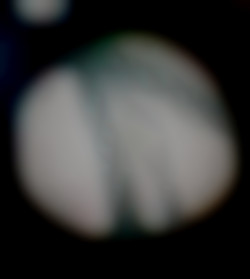 Member Image