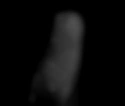 Member Image