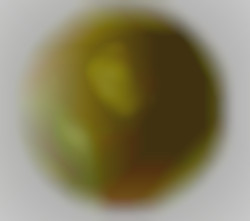 Member Image