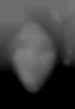 Member Image