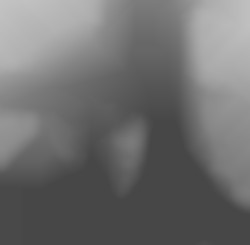 Member Image