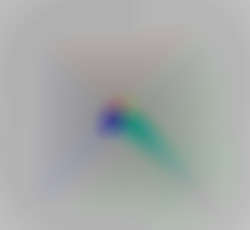 Member Image