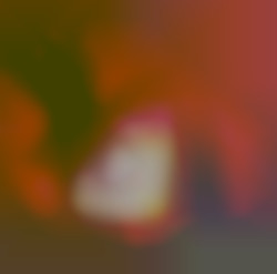 Member Image
