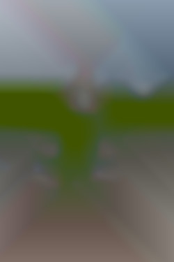 Member Image