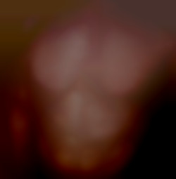 Member Image