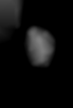 Member Image