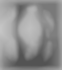 Member Image